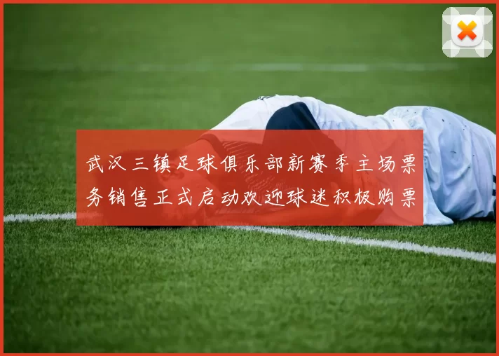 武汉三镇足球俱乐部新赛季主场票务销售正式启动欢迎球迷积极购票支持球队