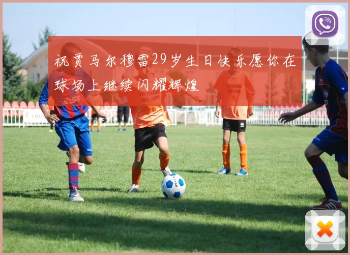 祝贾马尔穆雷29岁生日快乐愿你在球场上继续闪耀辉煌