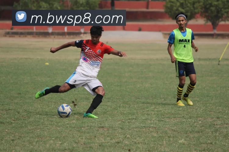 宝威体育APP 封面图